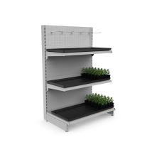 présentation des plantes dans l'étalage du magasin